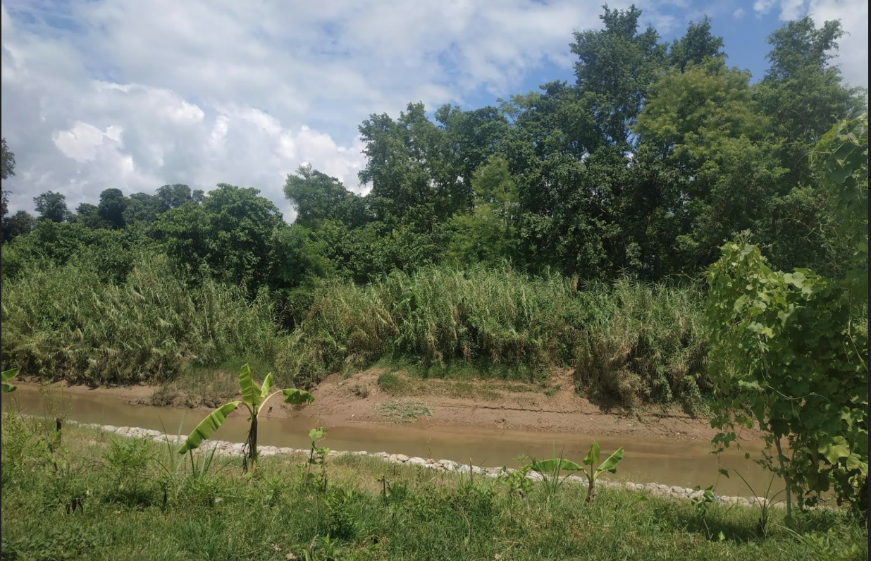 61: Baseline study on Civil Society Organizations as promoters of improved food systems and equal livelihood opportunities