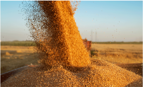 80: Endline Evaluation of Farmer Field Business School (FFBS) / RUPANTARAN Project