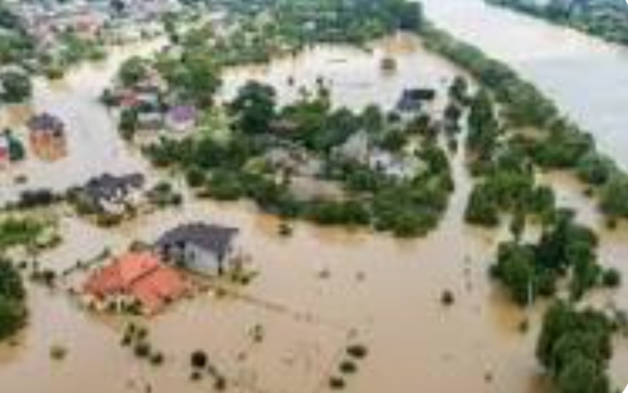 84. Post Distribution Monitoring Survey of the Bardiya Flood Response